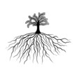 baum mit wurzeln II