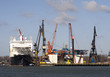Foto: Harbor Harbor