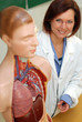 Professeur de biologie à côté d'un mannequin