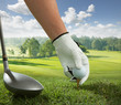 tee up