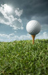 golf ball on tee