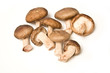 Shitake mushrooms isolated on a white studio background. Shitake mushrooms isolated on a white studio background.