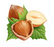 Hazelnuts 4