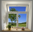 Window view