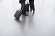 Two businessmen standing with suitcases