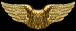 Golden Wings