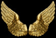 Golden Wings