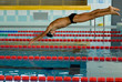 Tuffo in volo