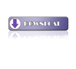 download button