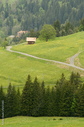 Photo: Swiss alps slope with chalet Swiss alps slope with chalet
