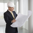 An architect wearing a hard hat holding plans