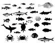 Sea animals fish silhouettes vector set