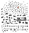 Mixed silhouettes set birds mamals fishes trees insects reptiles