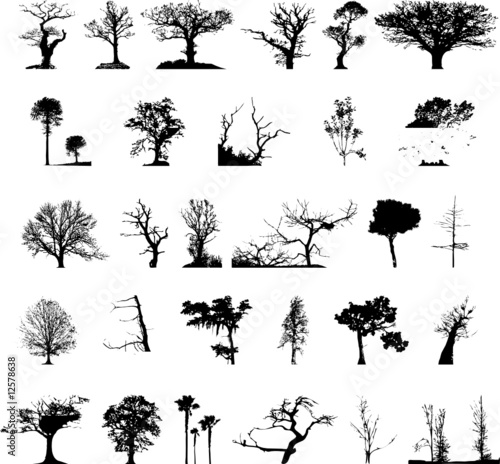 tree silhouette vector. Tree silhouettes set