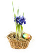 Easter flowers