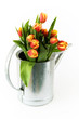 Tulpengießkanne