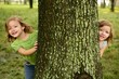 Two twin little girls playing in tree trunk Two twin little girls playing in tree trunk