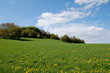 Odenwald