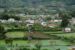 Farmland of Brastagi, Indonesia