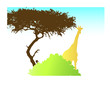 Girafe