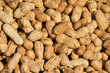 Peanuts