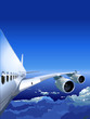 Vector Passenger Jet in the Sky