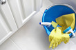 Cleaning Supplies in Bucket