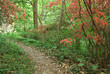 Nature Trail