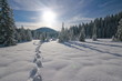Footprints in fresh snow Footprints in fresh snow