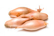Onions isolated on a white studio background Onions isolated on a white studio background
