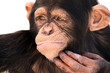 The Thinker