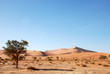 Dünenlandschaft der Sossusvlei Pan - Namibia Dünenlandschaft der Sossusvlei Pan - Namibia