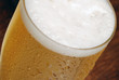 cerveja