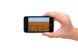 modern gadget in hand