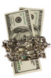 dollars with chain on white background dollars with chain on white background