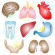Vector medical icons. Color set. Simply change.