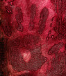 Hand print