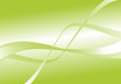 décoration vectoriel vert - green curves - vector shape