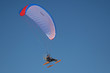paraglider in fly