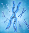 Chromosome x, DNA Strands