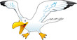 Cartoon gull Cartoon gull