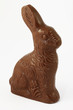 Photo en ligne au meilleur prix lapin en chocolat