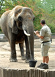 Animal Behavior