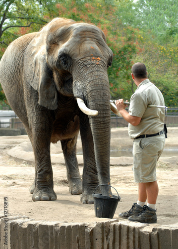 Photo: Animal Behavior Animal Behavior