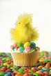 Easter chick cupcake