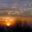 Photo : Winter sunrise Winter sunrise