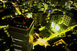 Night city