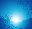 canvas print picture Underwater school