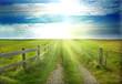 Landscape, sun and the sea in background