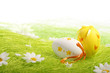 Photo: Painted Colorful Easter Eggs Painted Colorful Easter Eggs